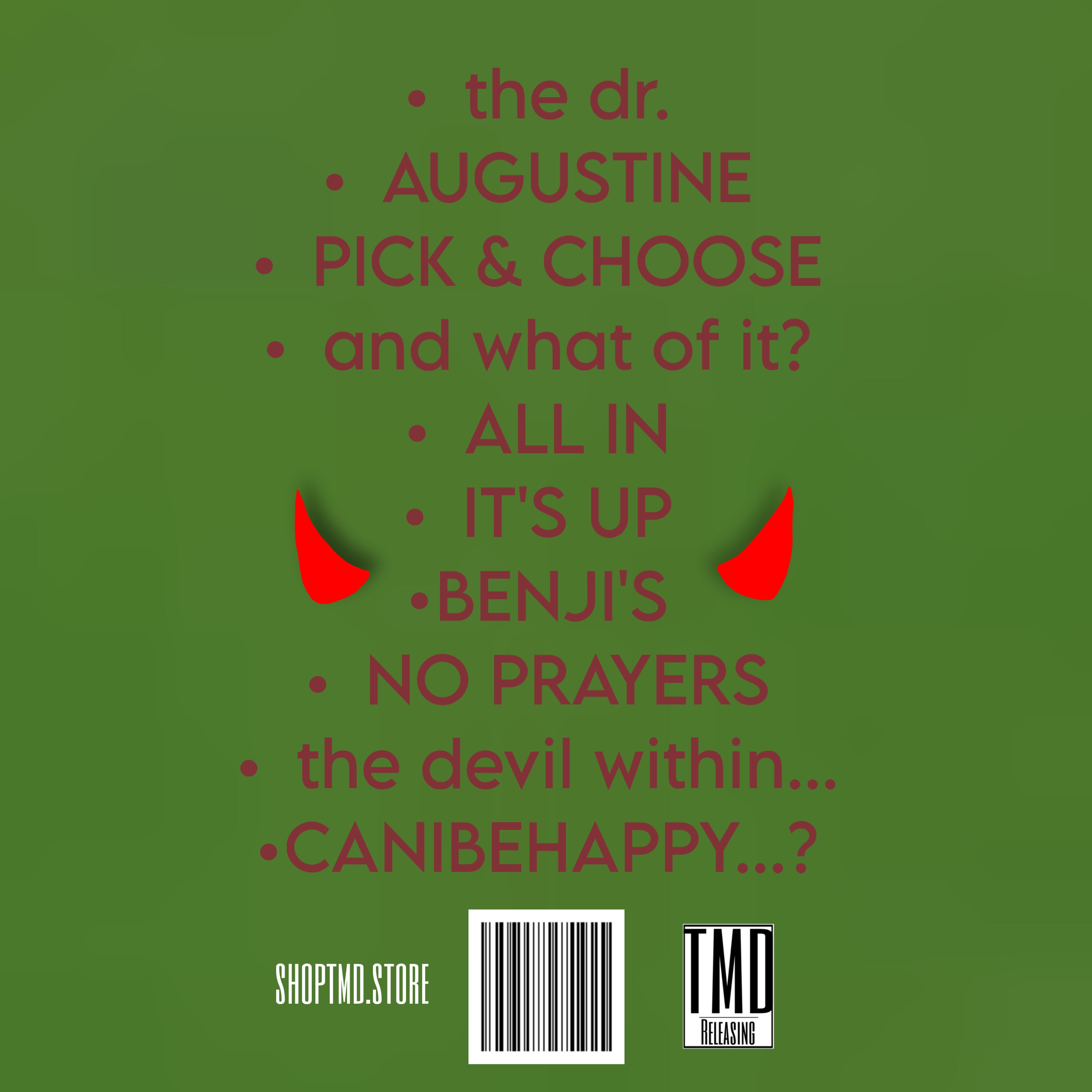 My earthly desires Vinyl record KING JEI